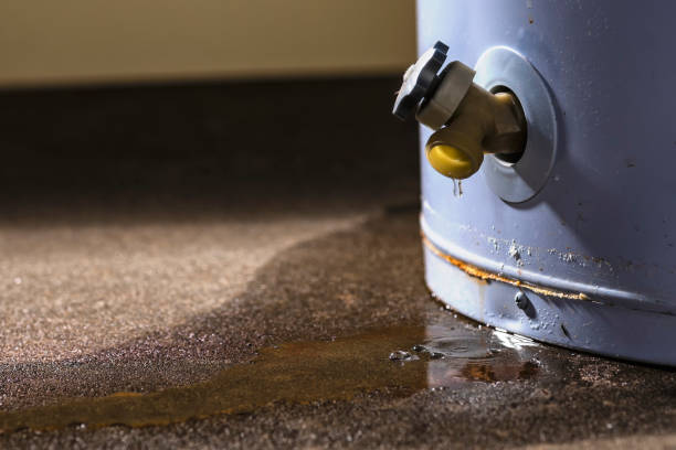 Trusted Cordova, NC Water damage restoration Experts